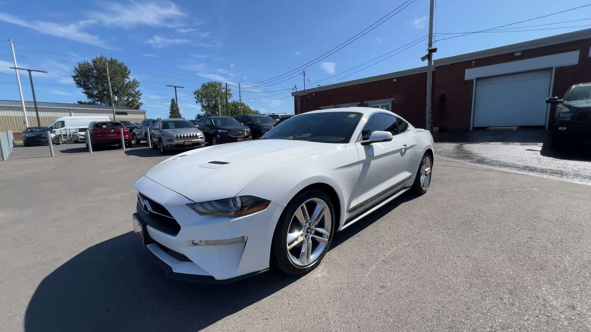 2019 Ford Mustang