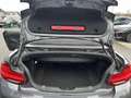 BMW 218 i Cabrio M Sportpaket HiFi DAB WLAN RFK Shz Grau - thumbnail 20