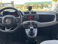 Fiat Panda 1.2 Lounge easypower Gpl 69cv - thumbnail 6