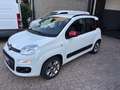 Fiat Panda 1.2 Lounge easypower Gpl 69cv - thumbnail 3