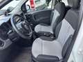 Fiat Panda 1.2 Lounge easypower Gpl 69cv - thumbnail 7