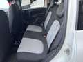 Fiat Panda 1.2 Lounge easypower Gpl 69cv - thumbnail 5