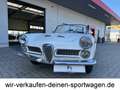 Alfa Romeo Spider 2000 Touring Weiß - thumbnail 15