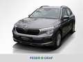 Skoda Kamiq 1.0 TSI Essence DSG LED Sitzh. Smart Link Grau - thumbnail 1