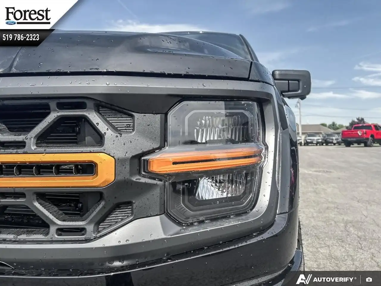 Ford F 150 снимка Ford F 150