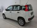 Fiat Panda Panda III 0.9 t.air t. natural power Easy 80cv E6 Blanco - thumbnail 5