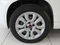 Fiat Panda Panda III 0.9 t.air t. natural power Easy 80cv E6 Blanco - thumbnail 4