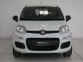 Fiat Panda Panda III 0.9 t.air t. natural power Easy 80cv E6 Blanco - thumbnail 2