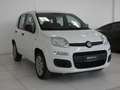 Fiat Panda Panda III 0.9 t.air t. natural power Easy 80cv E6 Blanco - thumbnail 3
