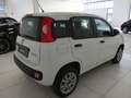 Fiat Panda Panda III 0.9 t.air t. natural power Easy 80cv E6 Blanco - thumbnail 6