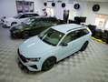 Skoda Octavia Combi 2.0 TSI RS DSG PANO 265 5J GAR Grün - thumbnail 19