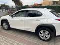Lexus UX 200 UX 2019 250h 2.0 Business 2wd cvt my20 Bílá - thumbnail 6