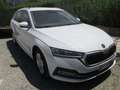 Skoda Octavia 4ª serie 2.0 TDI EVO SCR 150 CV DSG Wagon Executiv Bianco - thumbnail 1