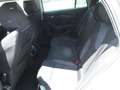 Skoda Octavia 4ª serie 2.0 TDI EVO SCR 150 CV DSG Wagon Executiv Bianco - thumbnail 3