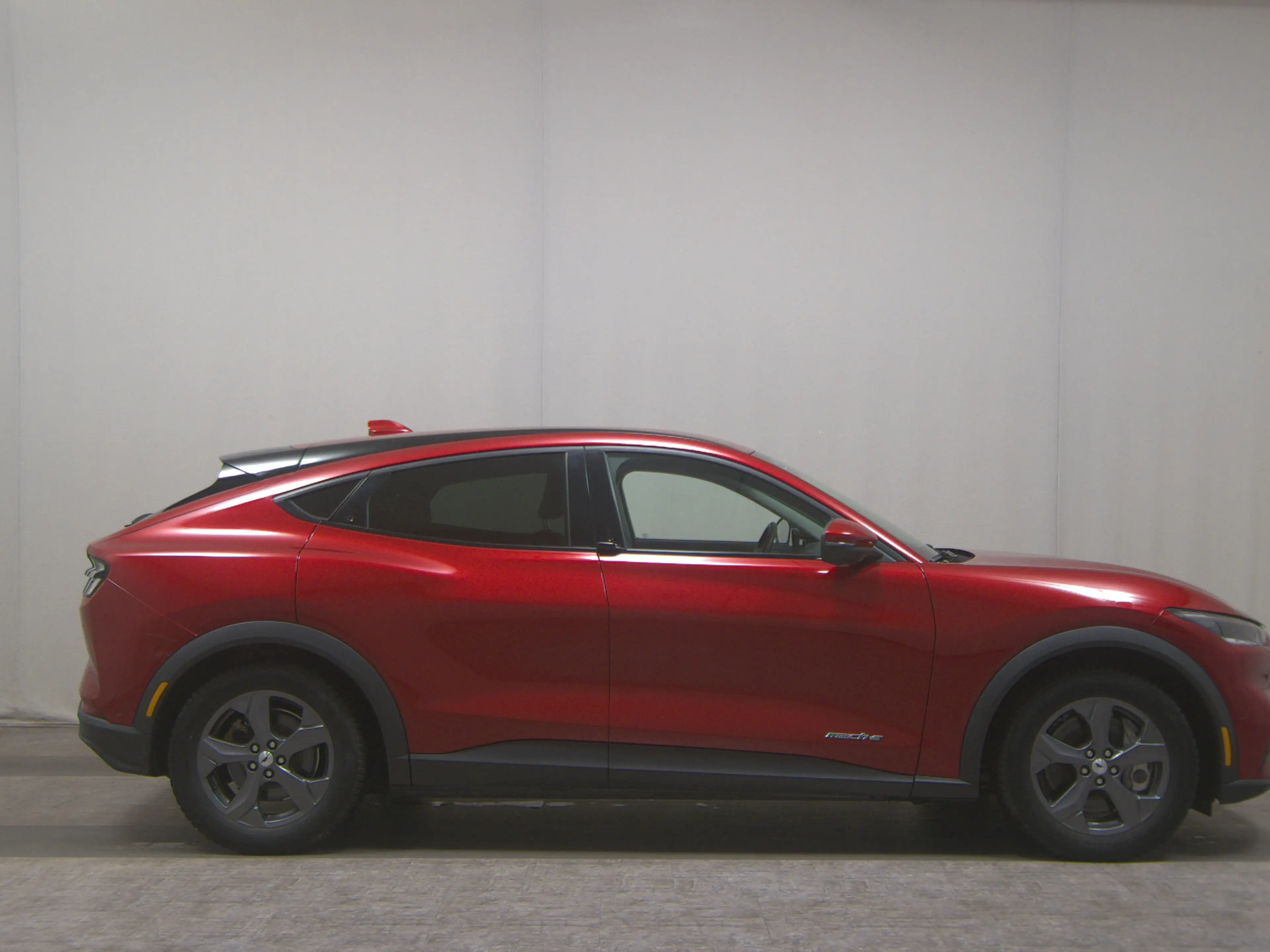 Ford Mustang Mach-E — photo 14