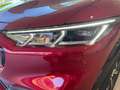 Ford Mustang Mach-E Premium RWD 99kWH|€599/m|Technology Pack|600 Range Rojo - thumbnail 16