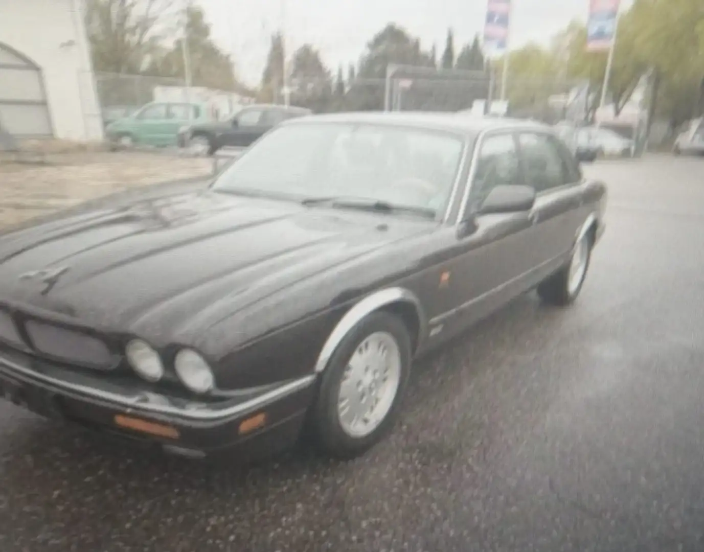 Jaguar XJ 300 3,2L Violett - 2