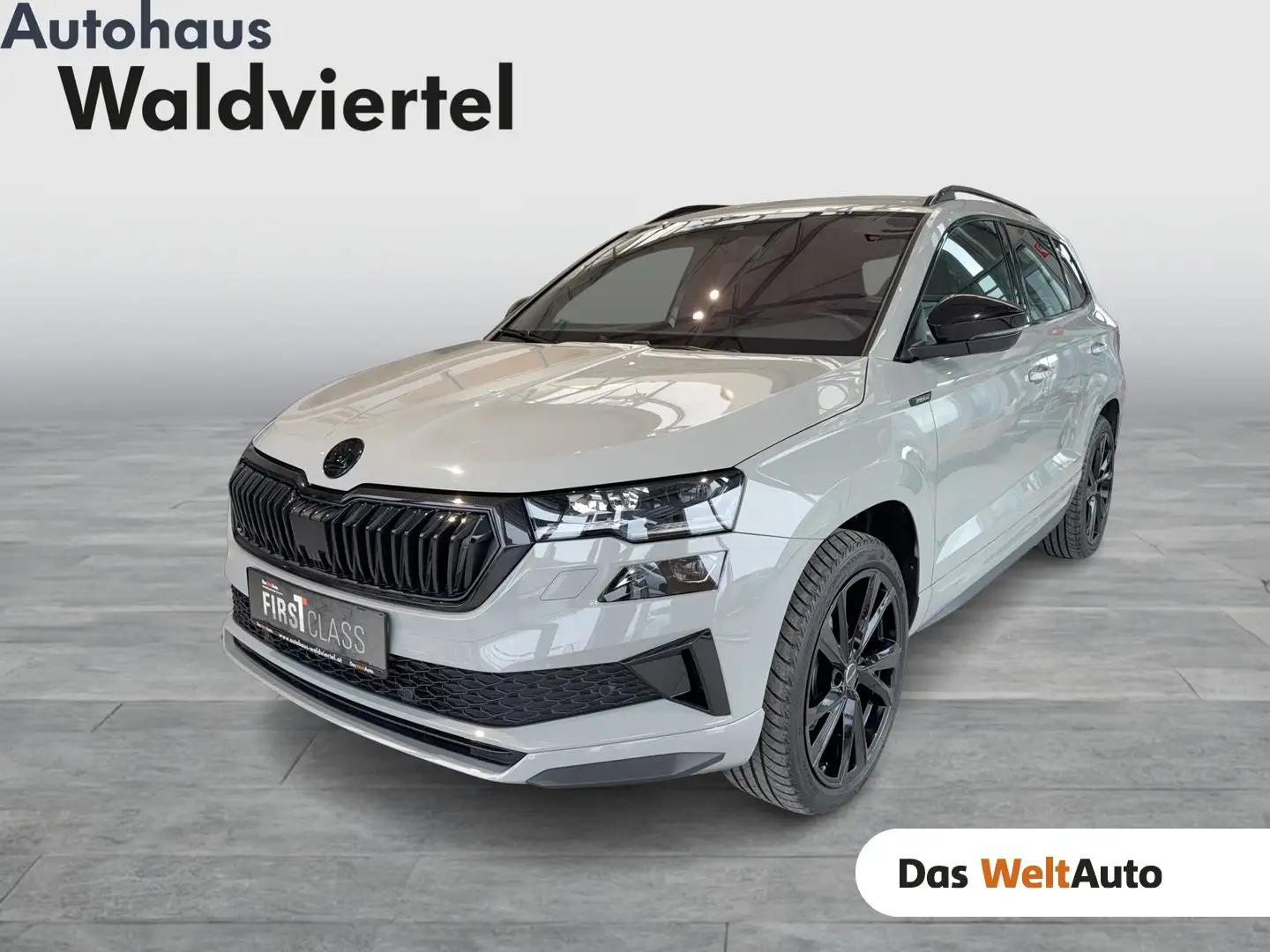 Skoda Karoq 4x4 Sportline TSI DSG Grijs - 1