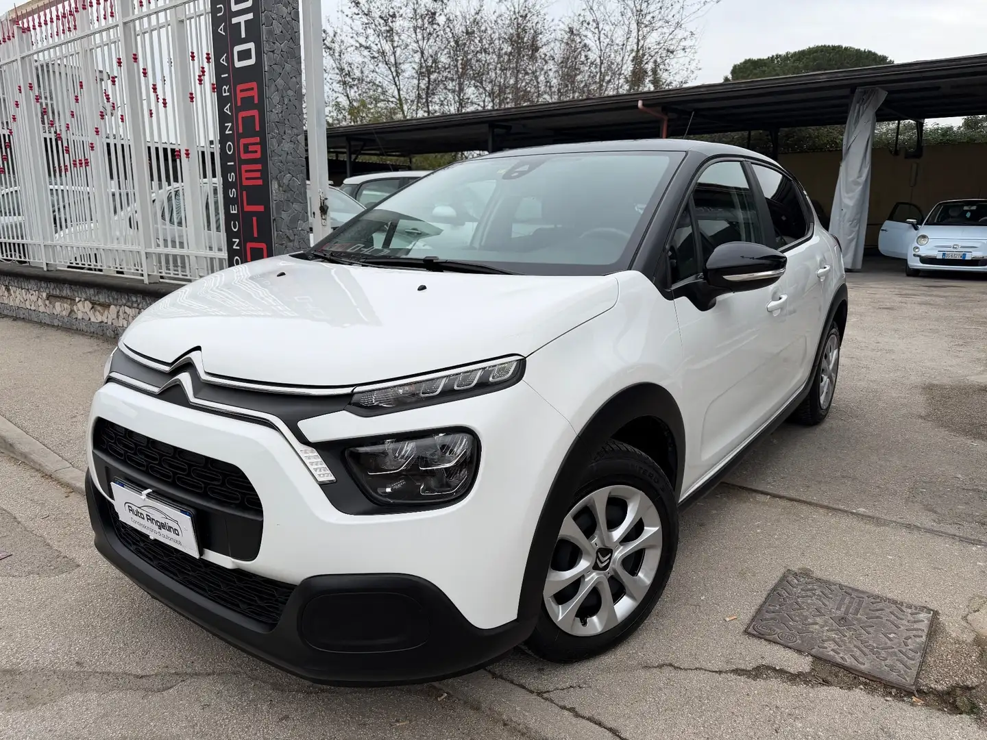 Citroen C3 C3 BlueHDi 100 S&S You Blanc - 1