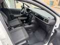Citroen C3 C3 BlueHDi 100 S&S You Blanc - thumbnail 8