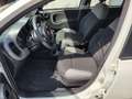 Fiat Panda Panda 1.0 firefly hybrid City Life s Blanco - thumbnail 5