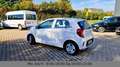 Kia Picanto Edition 7 Sitz/Lenkradheizung Alb - thumbnail 3
