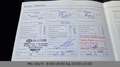 Kia Picanto Edition 7 Sitz/Lenkradheizung Alb - thumbnail 25