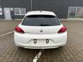 Volkswagen Scirocco 1.4 TSI 90 kW SHZ/PDC/Touchscreen Blanc - thumbnail 9
