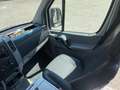 Mercedes-Benz Sprinter K37/35 316 BlueTEC TN Kombi Argento - thumbnail 11