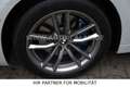 BMW 530 i xDrive Touring |M-SPORT|ACC|AHK|360|ALCANTA Weiß - thumbnail 11