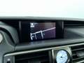 Lexus IS 300 300h Hybrid Business Line, Apple Car Play! Gris - thumbnail 19