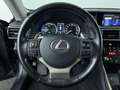 Lexus IS 300 300h Hybrid Business Line, Apple Car Play! Grigio - thumbnail 14