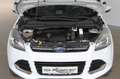 Ford Kuga Titanium 4x4 Navi,BT,USB,Xenon,Pano,PDC,WinPak,8F Weiß - thumbnail 24