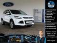 Ford Kuga Titanium 4x4 Navi,BT,USB,Xenon,Pano,PDC,WinPak,8F Weiß - thumbnail 1