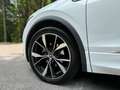 Volkswagen Tiguan 1.5 TSI R-Line DSG 110kW Blanco - thumbnail 40