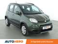 Fiat Panda 1.3 M-Jet 4x4 Rock*KLIMA*GARANTIE* Grün - thumbnail 8