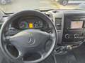 Mercedes-Benz Sprinter 516 cdi THERMO KING V300 MAX|2,2t NUTZL Weiß - thumbnail 11