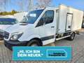Mercedes-Benz Sprinter 516 cdi THERMO KING V300 MAX|2,2t NUTZL Weiß - thumbnail 1