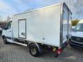 Mercedes-Benz Sprinter 516 cdi THERMO KING V300 MAX|2,2t NUTZL Weiß - thumbnail 7