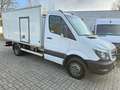 Mercedes-Benz Sprinter 516 cdi THERMO KING V300 MAX|2,2t NUTZL Weiß - thumbnail 3
