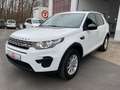 Land Rover Discovery Sport 20 D 150 PS Pure 4X4 AHK Euro6 Wit - thumbnail 1