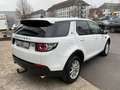 Land Rover Discovery Sport 20 D 150 PS Pure 4X4 AHK Euro6 Wit - thumbnail 5