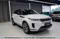 Land Rover Range Rover Evoque D165 S AWD Aut.*1-BESITZ*360°KAMERA*20-ZOLL*LED Weiß - thumbnail 5