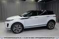 Land Rover Range Rover Evoque D165 S AWD Aut.*1-BESITZ*360°KAMERA*20-ZOLL*LED Weiß - thumbnail 6