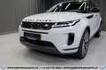 Land Rover Range Rover Evoque D165 S AWD Aut.*1-BESITZ*360°KAMERA*20-ZOLL*LED Weiß - thumbnail 3