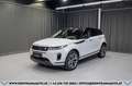 Land Rover Range Rover Evoque D165 S AWD Aut.*1-BESITZ*360°KAMERA*20-ZOLL*LED Weiß - thumbnail 1