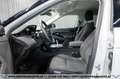 Land Rover Range Rover Evoque D165 S AWD Aut.*1-BESITZ*360°KAMERA*20-ZOLL*LED Weiß - thumbnail 15