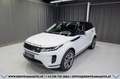 Land Rover Range Rover Evoque D165 S AWD Aut.*1-BESITZ*360°KAMERA*20-ZOLL*LED Weiß - thumbnail 2