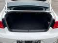 Volkswagen Passat Comfortline EcoFuel Weiß - thumbnail 11