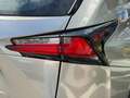 Lexus NX 300h 2.5 Corporate 2WD + Navibox Grau - thumbnail 37